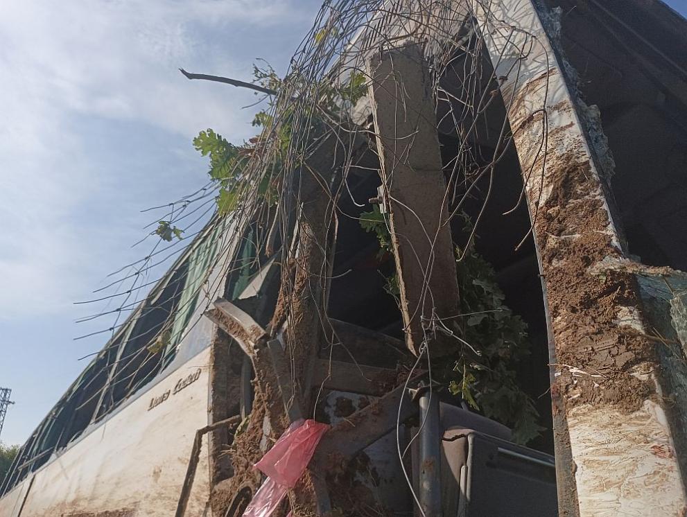  сръбски рейс злополука Тракия 