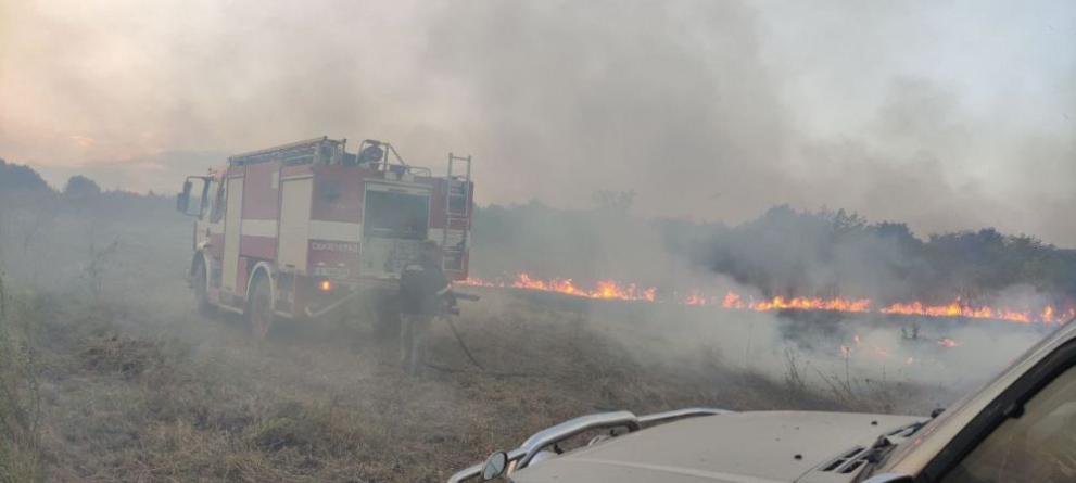 Голям пожар възникна между двете селa Оряхово и Васково -