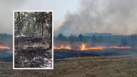 пожар хасково