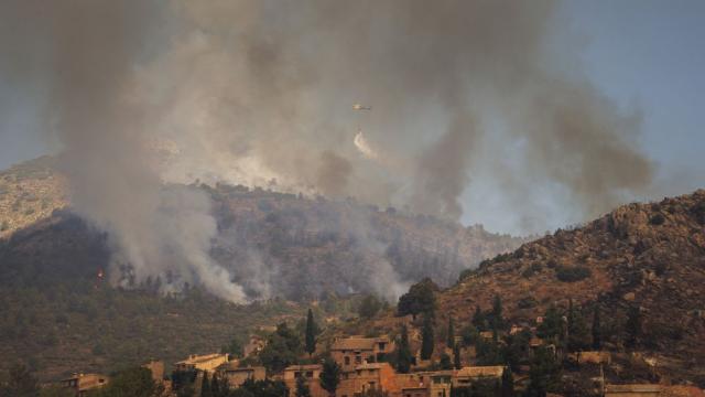 Как гладни кози помагат на пожарникарите в Каталуния