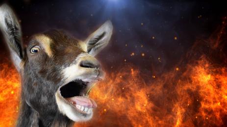 коза пожари