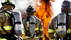 Пожарът в Кресненското дефиле е ограничен горели са 50 дка