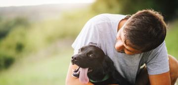 6 мита, които ще чуете, щом решите да си вземете куче