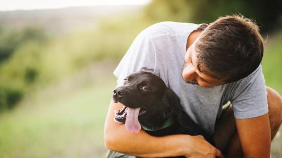 6 мита, които ще чуете, щом решите да си вземете куче