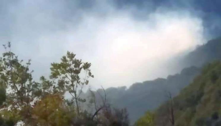 пожар - 200 огнеборци, тежка техника и вертолет се борят с пожара на българо-гръцката граница