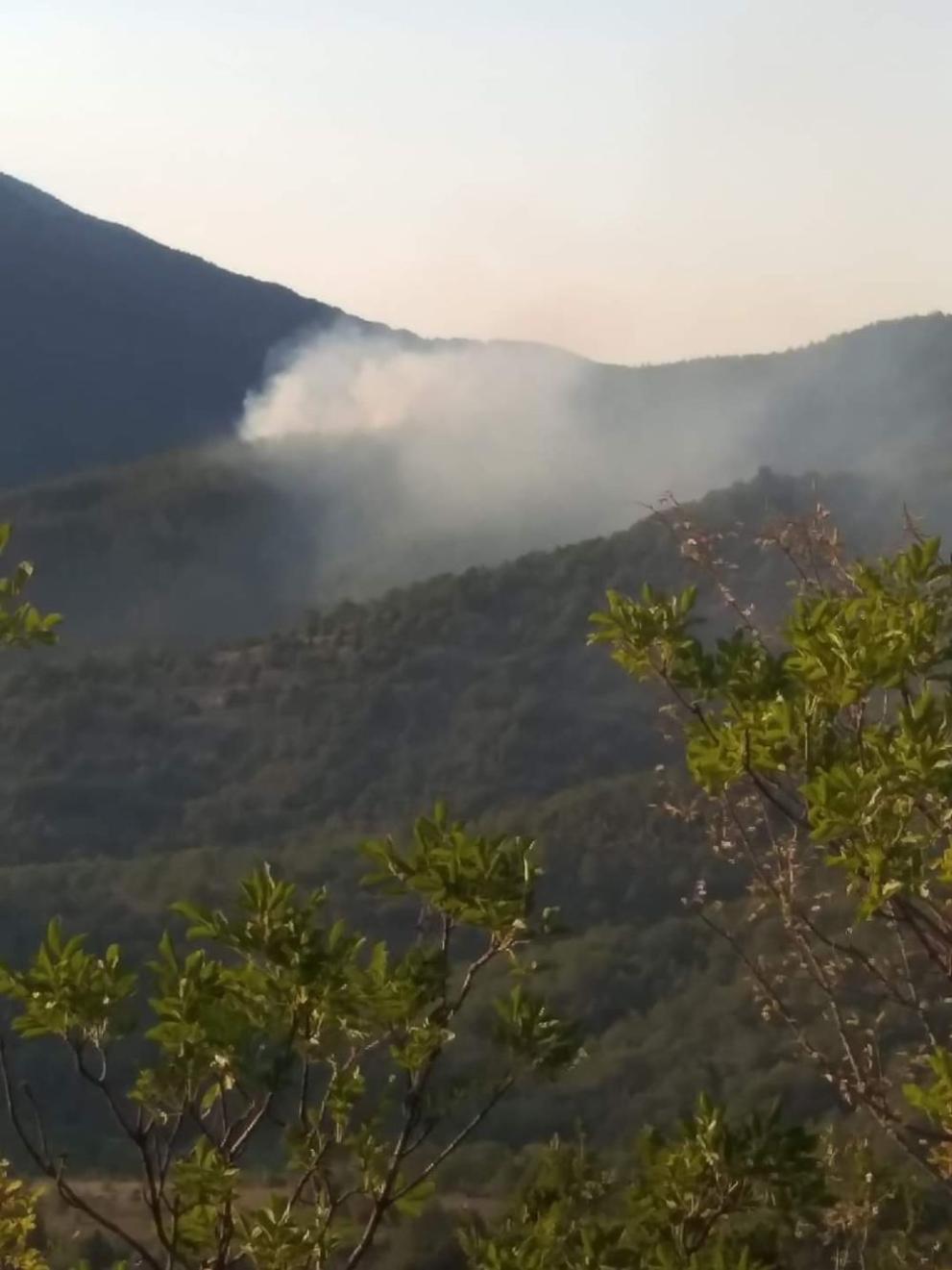  пожар кресна 