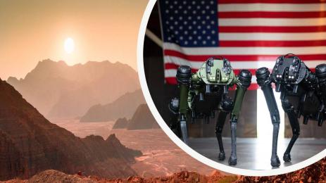 Кучета роботи