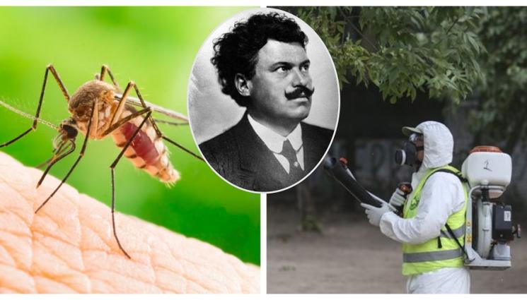 а - НАПАСТ: Комарът е най-опасното създание на Земята