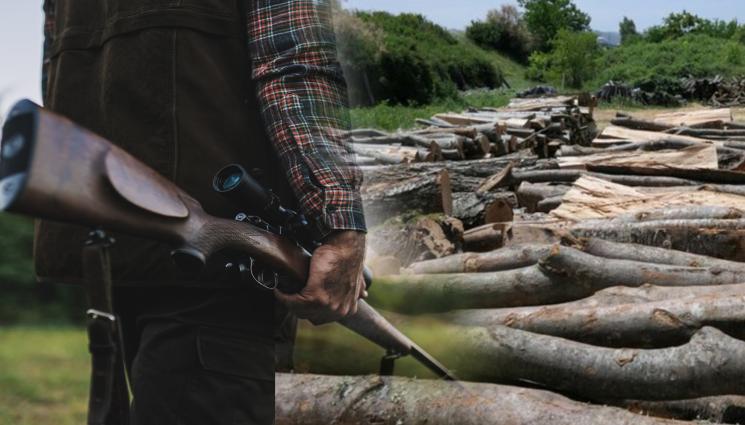 горски дървесина ловци - ПОД ПРИЦЕЛ: Горските „на лов” за нарушители, навъртяха 23 000 проверки за половин месец