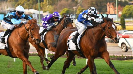 конно надбягване