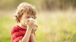 Изменението на климата може да увеличи честотата на алергиите и