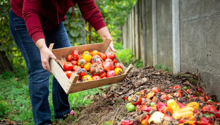 компост - Агро Телеграф: Хвърляме обелките в компоста, орехите не