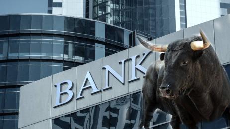 Говедо банка