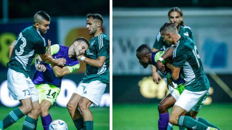 Пири Лудогорец