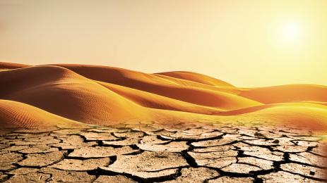 пустиня суша