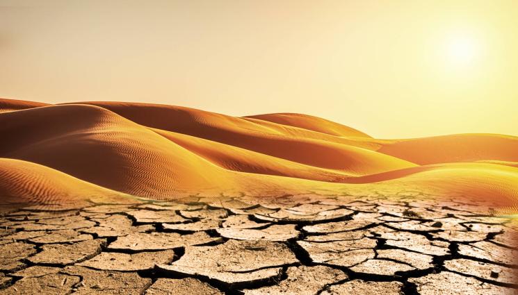 пустиня суша - Задава се страшна суша, чакат ни тежки години