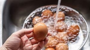 Диетологът Елена Соломатина посочва дали трябва да се мият яйцата