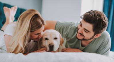 двойка куче