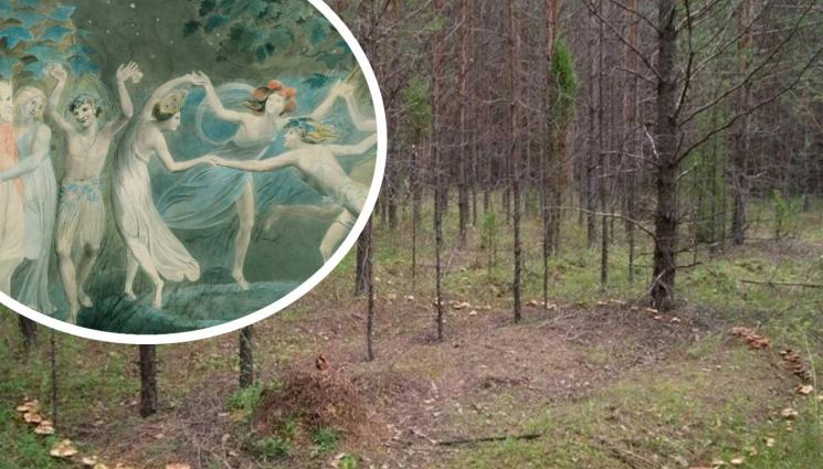 вяра - ВЯРА: Деликатесът на самодивите - полезен и опасен