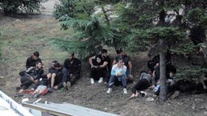 37 мигранти са заловени при няколко спецакции на СДВР на
