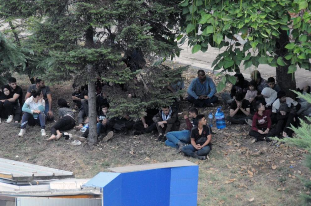 Учени откриха огромен и изключително добре запазен скелет на завропод