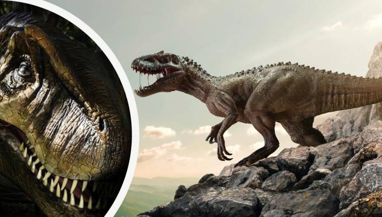 динозавър - ДЖУРАСИК ПАРК: Откриха останки от динозавър