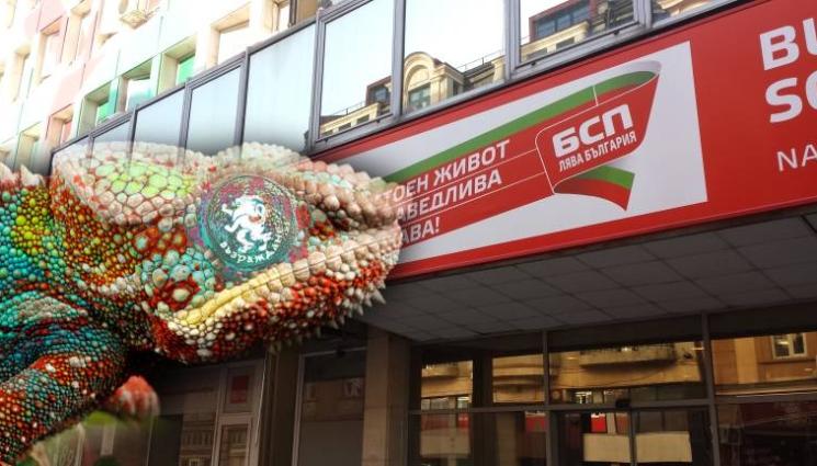 БСП - ПОЛИТИЧЕСКИ ХАМЕЛЕОН: Депутатка от