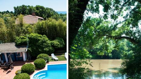 Игри на волята