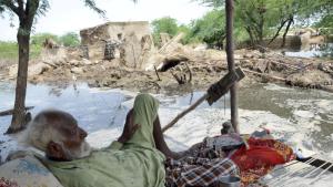 Пакистан търси международна помощ заради невижданите наводнения Властите в страната