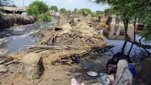 Най малко 1136 са вече жертвите на мусонните дъждове в Пакистан
