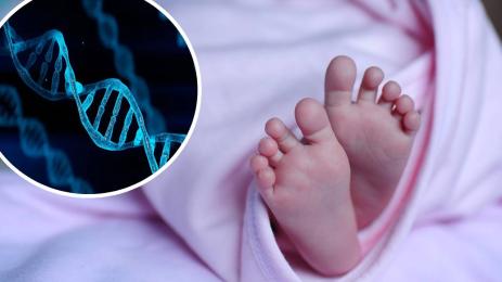 бебе ДНК