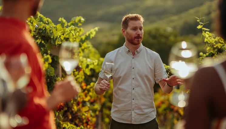 вино - Агро Телеграф: Изби чакат вино с отлични качества