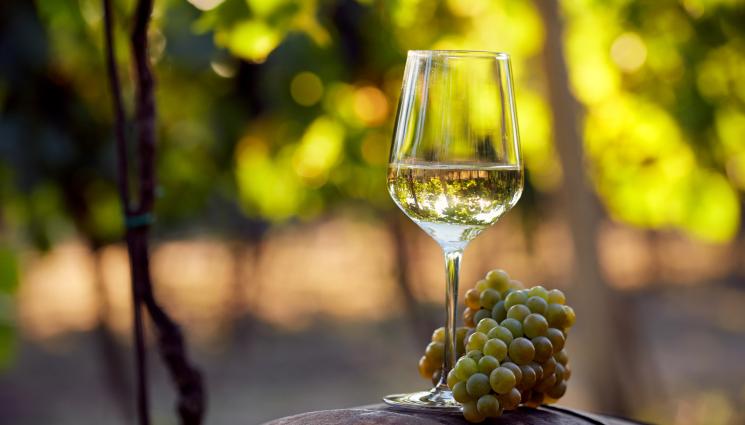 вино - Агро Телеграф: Виното ни от испанско грозде