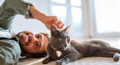 котка нашийник