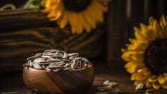 слънчоглед