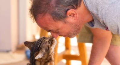 котка целува стопанин