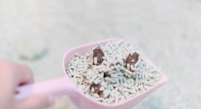 Почистване на котешка тоалетна