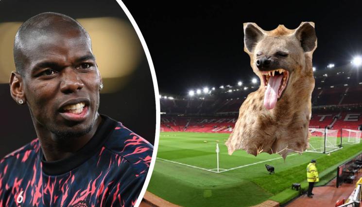 Пол Погба - СЕМЕЙНАТА САГА ПРОДЪЛЖАВА: Пол Погба заровил хиена в центъра на 