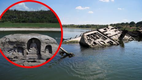 суша открития