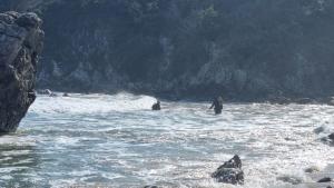 Прекратиха издирването на изчезналия в морето край Созопол 38 годишен
