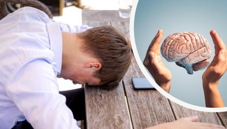 мозък - НЕВЕРОЯТНО! Всеки втори британец не знае къде се намират сърцето и мозъка