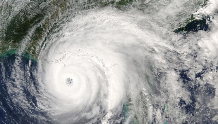 тайфун - БЕДСТВИЕ: Тайфун остави над 40 000 домакинства без ток (ВИДЕО)