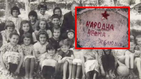 чешма желюша