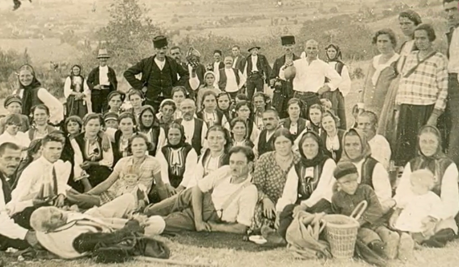 чешма желюша