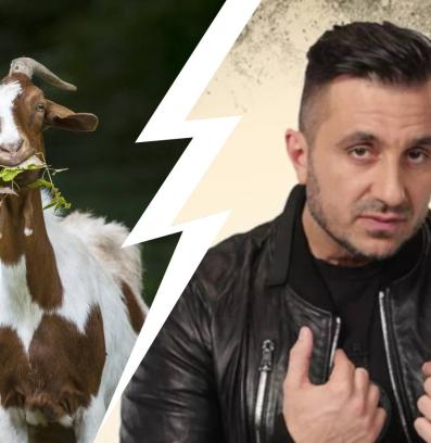 Константин Коцето