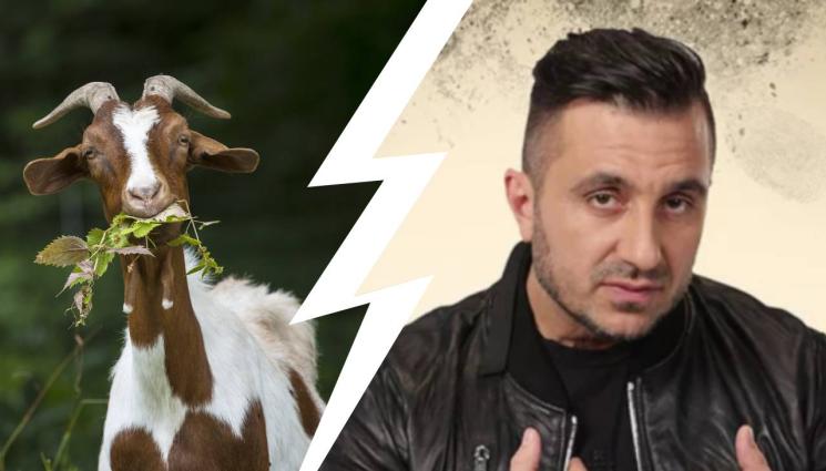 Константин Коцето - ЗООВОЙНА: Коцето хвана сопата, подгони тумба кози (ВИДЕО)