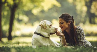 куче стопанин