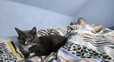 Котка в легло