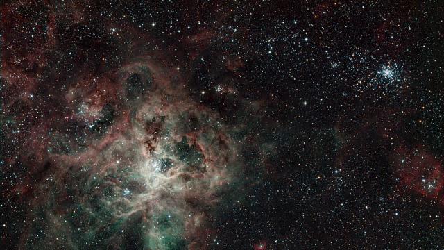 Tелескопът „Джеймс Уеб” разкри нови детайли за мъглявината Тарантула (ВИДЕО)