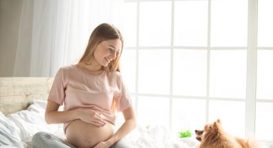 куче стопанка бременност